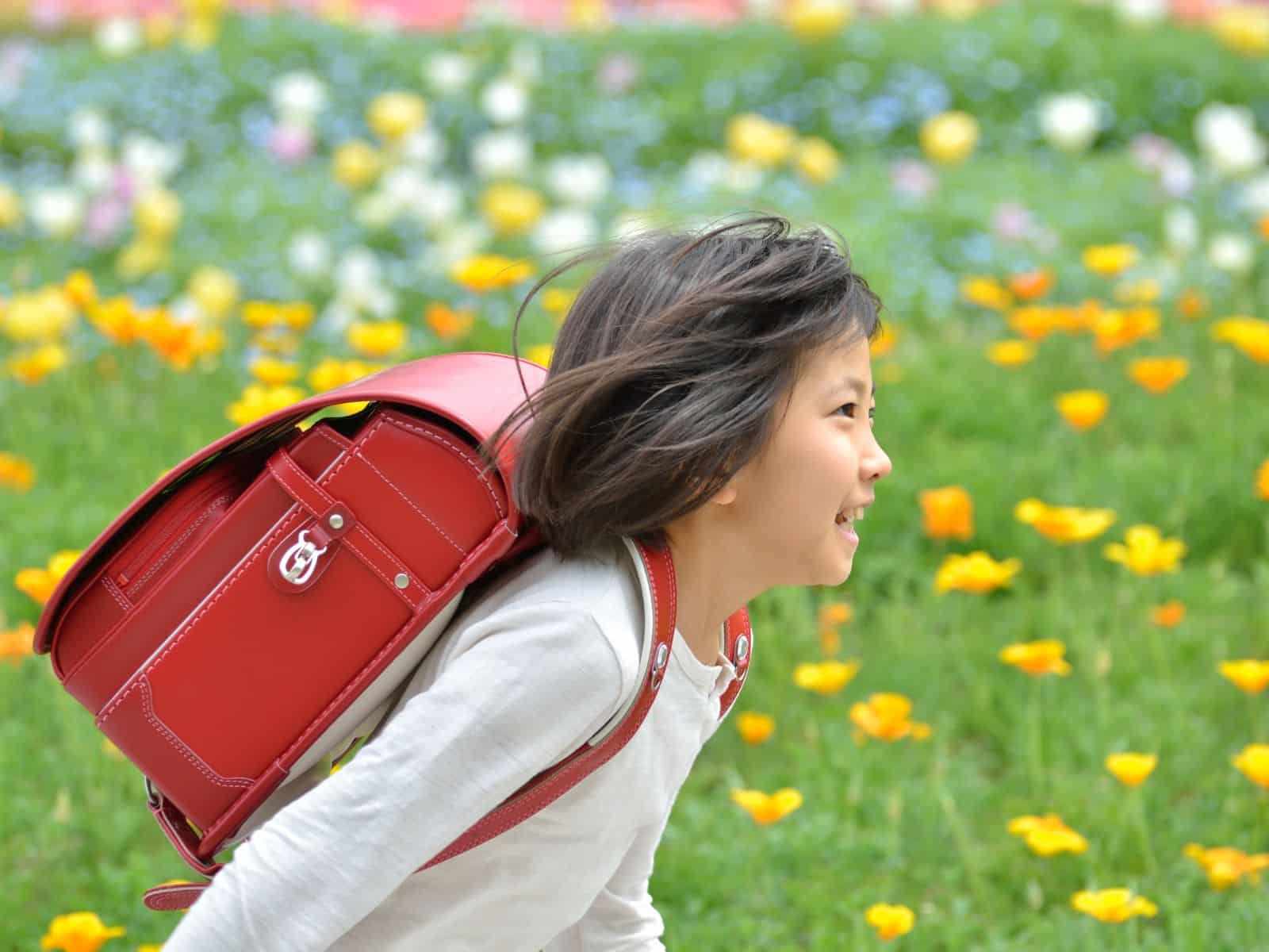 赤いランドセルを背負って花畑の中を元気に走る小学生の女の子